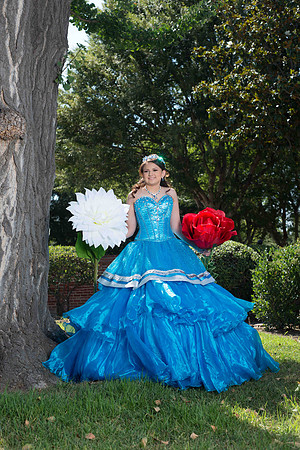 DSC_9461