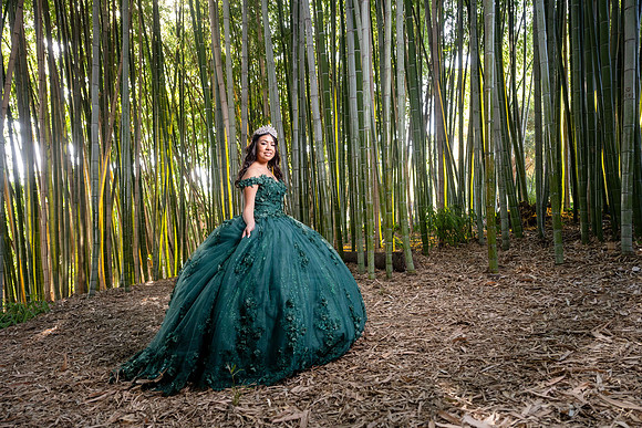 DSC_4502
