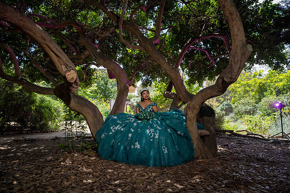 DSC_3524