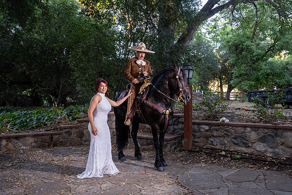 DSC_0537